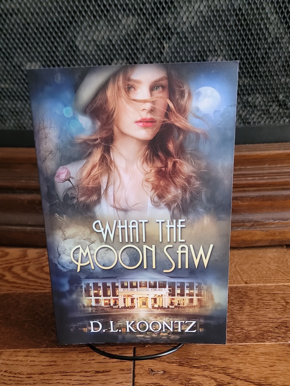 What The Moon Saw By D. L. Koontz